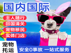 临沂航空邮寄国际宠物托运 【国
